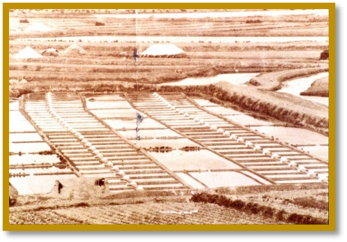 2 - Au premier plan, le long du marais, les vestiges de la cabane de gabelous.